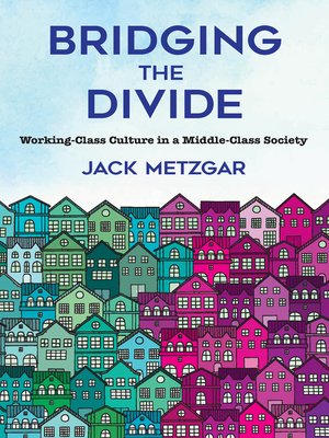cover image of Bridging the Divide